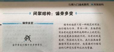 行楷成人初学速成视频讲解,速成视频讲解,轻松掌握行楷书写技巧