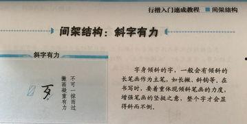 行楷成人初学速成视频讲解,速成视频讲解,轻松掌握行楷书写技巧
