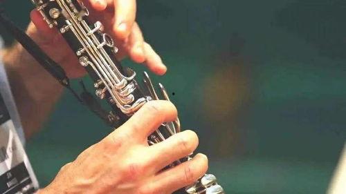 乐器成人表演视频,乐动人生——乐器成人表演风采展示