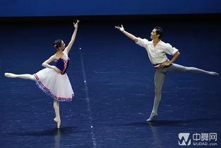 成人芭蕾舞比赛视频