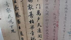 成人硬笔练字欣赏视频讲解,跟随视频欣赏与技巧解析